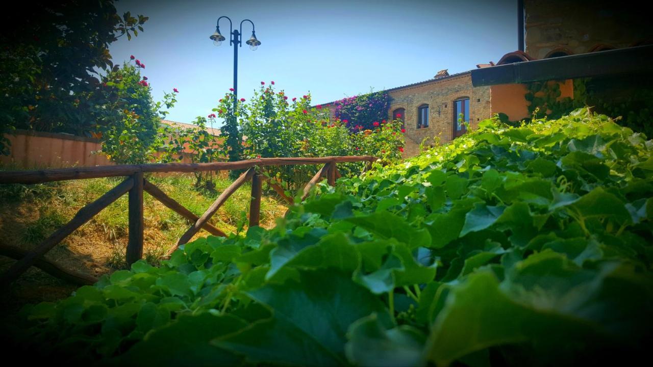 La Masseria Lolivia Senise Εξωτερικό φωτογραφία